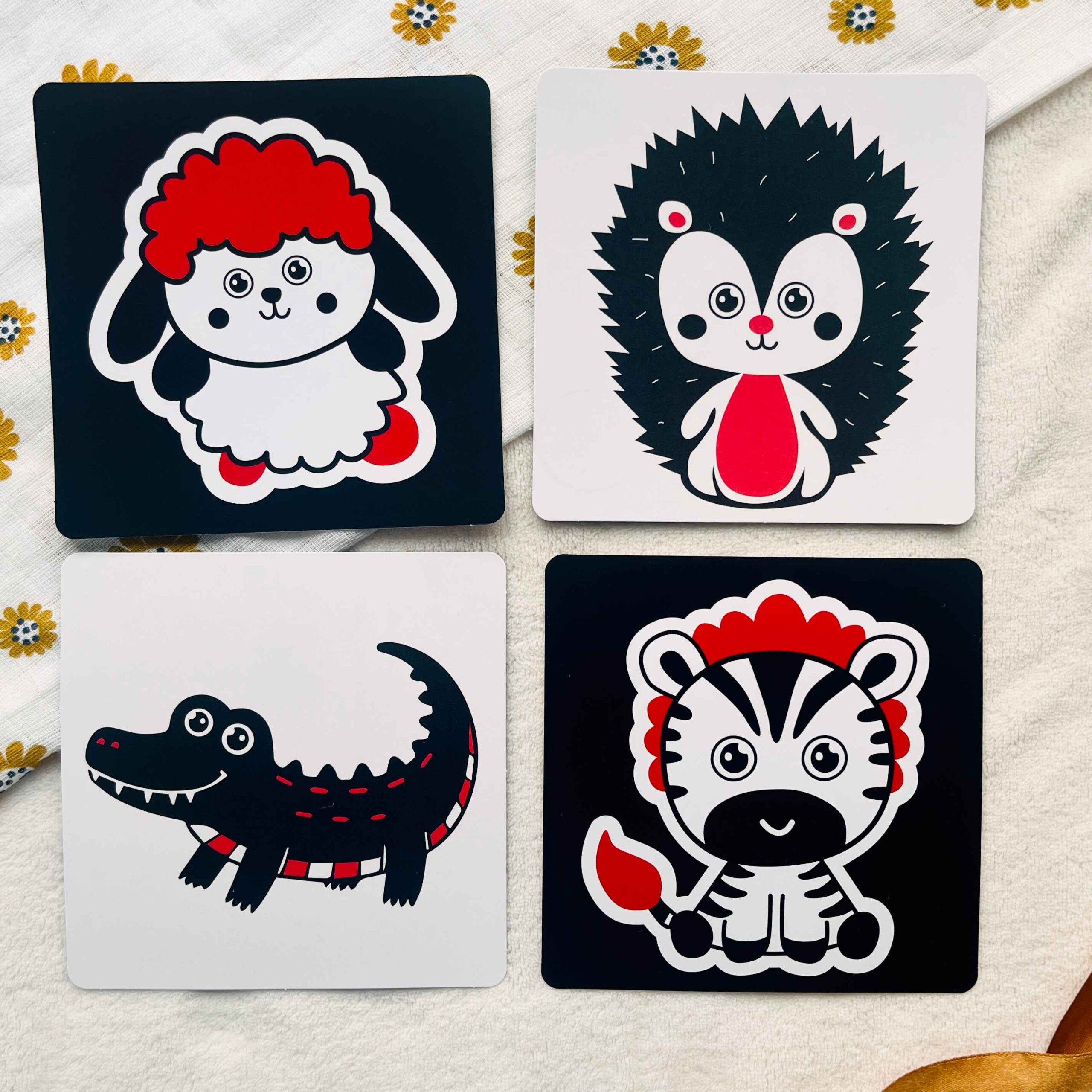 animals animals scaled